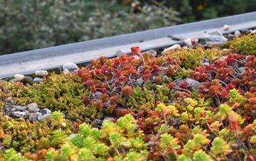 the cost of Gaunts Common green roof installation