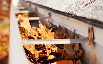 Gaunts Common gutter cleaning companies