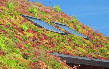 Gaunts Common living roof systems