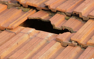 roof repair Gaunts Common, Dorset