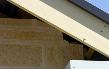 soffit repair Gaunts Common