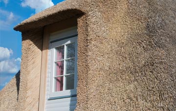 Gaunts Common thatch roof disadvantages