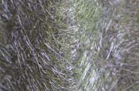 Gaunts Common fibreglass roof work