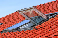 Gaunts Common roof window