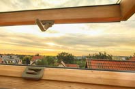 rated Gaunts Common roof window companies